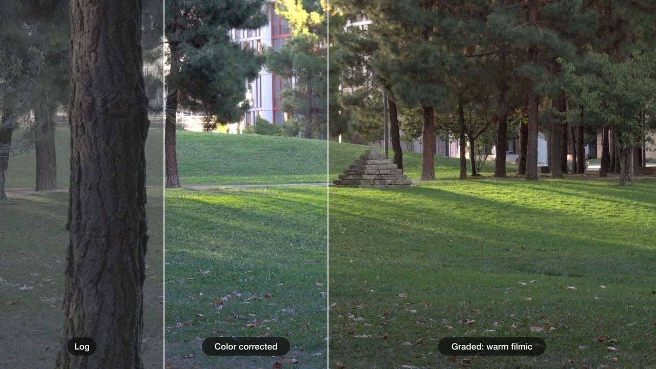 The same park shot split three ways: flat log footage, the color-corrected version, and a warm filmic color grade made with AI in Daydream